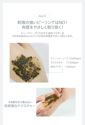 WellDerma【ウェルダーマ公式】ティーツリー&ヨモギハーブトックスピーリングパック150g【ブラシ付き】 中間 画像