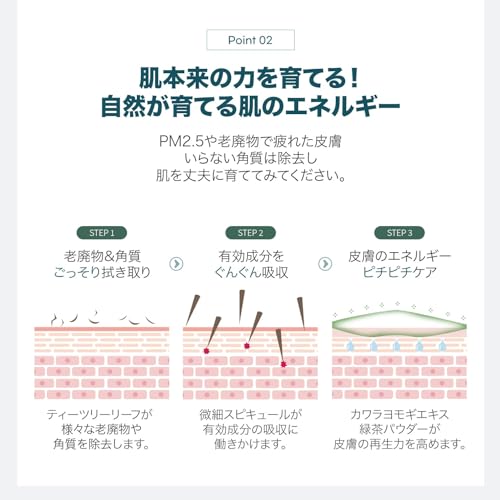 WellDerma【ウェルダーマ公式】ティーツリー&ヨモギハーブトックスピーリングパック150g【ブラシ付き】 中間 画像