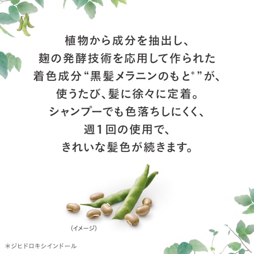 ブローネ ナチュリラ 色長持ちカラートリートメント ブラック つけかえ 155g 中間 画像