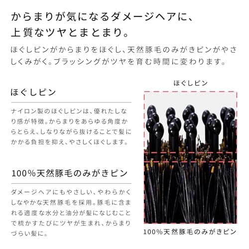 【公式ストア限定】リファ エールブラシレイ ReFa AILE BRUSH RAY 中間 画像