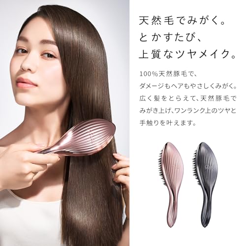 【公式ストア限定】リファ エールブラシレイ ReFa AILE BRUSH RAY 最後 画像