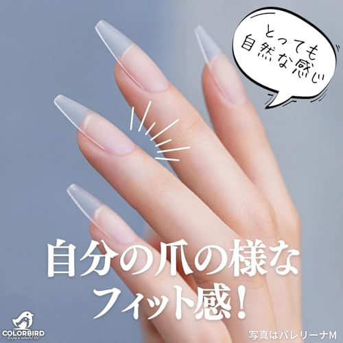 COLORBIRD ネイルチップ 超薄 ショート クリア サンディング 自然なフィット感 つけ爪 (スクエアS, 300pcs) 中間 画像
