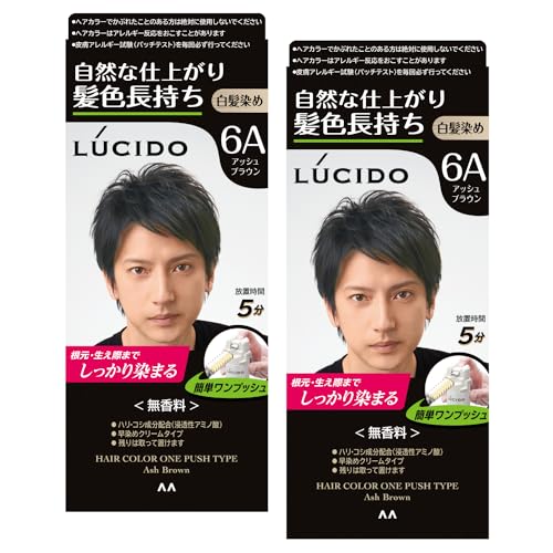LUCIDO(ルシード) 【まとめ買い】ワンプッシュケアカラー(医薬部外品) メンズ用 ショートヘア約4回分 白髪染め 無香料 アッシュブラウン セット 2個 (x 1) 画像1