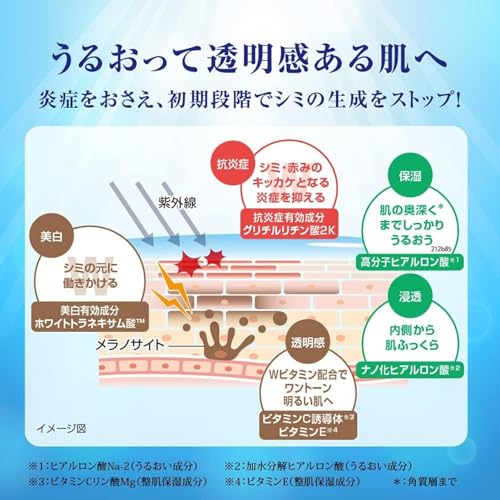 肌ラボ 白潤プレミアム 薬用浸透美白化粧水 つめかえ用 [医薬部外品] 170ミリリットル (x 1)の特徴・詳細 画像