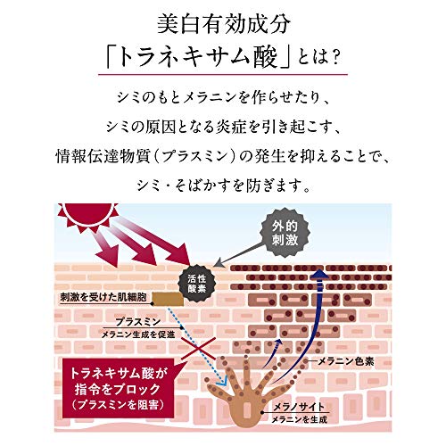 【原液】医薬部外品 トラネキサム酸 薬用美白原液 10ml 原液美容液 TUNEMAKERS(チューンメーカーズ)の特徴・詳細 画像