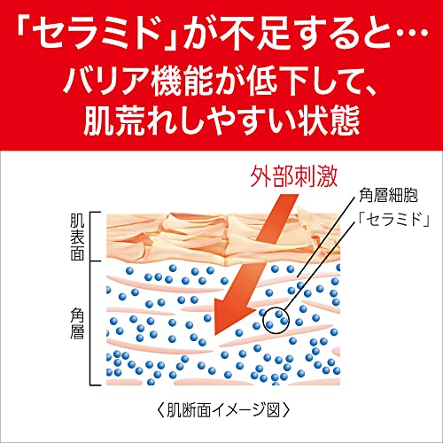キュレル 潤浸保湿 乳液 120mlの特徴・詳細 画像