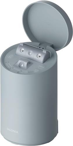 SALONIA サロニア ピュアブライト スチーマー 美顔器 フェイススチーマー 美容 グレー【Amazon.co.jp限定】 1