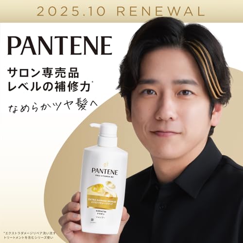 パンテーン 洗い流すトリートメント 300g [1.7 個分] 特大サイズ エクストラダメージリペアの特徴・詳細 画像