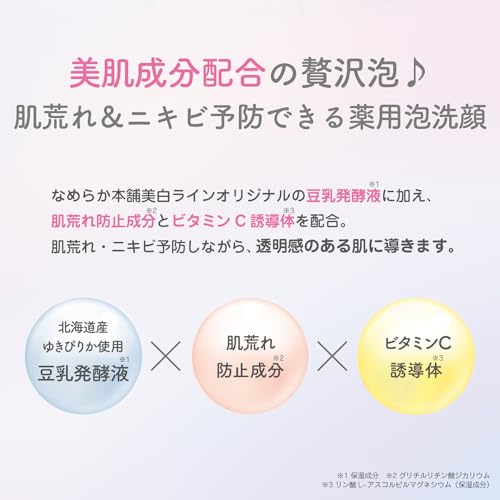 なめらか本舗 薬用泡洗顔 ＋おまけ付き 【医薬部外品】 豆乳イソフラボン 肌荒れ・ニキビ予防 洗顔フォームの特徴・詳細 画像