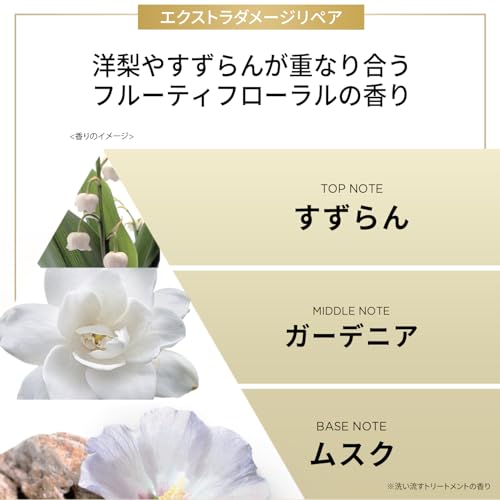 パンテーン 洗い流すトリートメント 300g [1.7 個分] 特大サイズ エクストラダメージリペアの特徴・詳細 画像