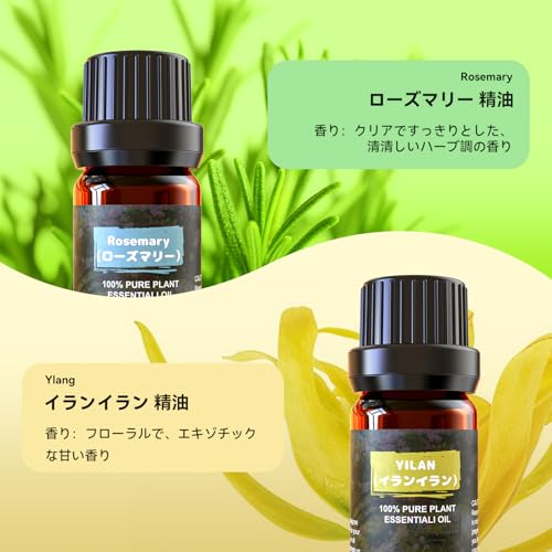アロマオイル 6種セット ナチュラル 精油 エッセンシャルオイル アロマディフューザー用 アロマストーン用 加湿器用(ラベンダー/サンダルウッド/金木犀/フランキンセンス/ローズマリー/イランイラン)の特徴・詳細 画像
