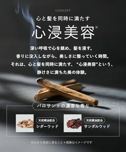 BOTANIST ボタニスト SANTAL サンタル リペア オイルイン シャンプー トリートメント セットの特徴・詳細 画像