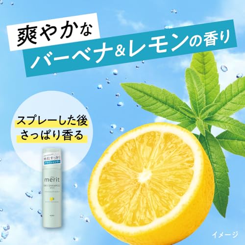 Merit メリットデイプラス ドライシャンプー 130gの特徴・詳細 画像