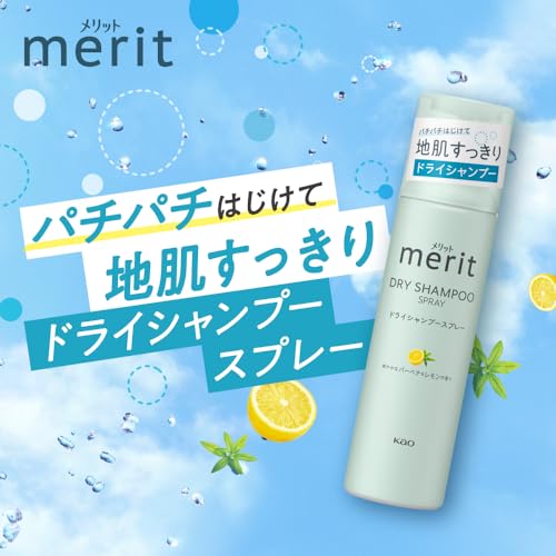Merit メリットデイプラス ドライシャンプー 130gの特徴・詳細 画像