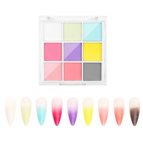 ミラーパウダー 固形 ネイルパウダー 9色 パレット ミラーネイル パウダー ネイルアート レジン ジェルネイル メタリックネイルパウダー チップ付き (A) 1