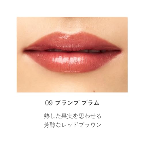 [ RMK 公式 ] RMK デューイーメルト リップカラー（レフィル）09 プランプ プラム （ レッドブラウン ブラウンリップ 赤リップ 口紅 リップ 落ちにくい ）の特徴・詳細 画像
