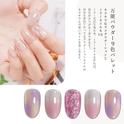 Coikaze グラデーション ネイル パウダー 9色 パレット ネイル パウダー ネイル カラーパウダー ミラーネイルパウダー メタリックネイル ネイルアート DIYネイル ネイル用品 ジェルネイル グラデーションカラー 4本スポンジチップ付き（Fパレット）の特徴・詳細 画像