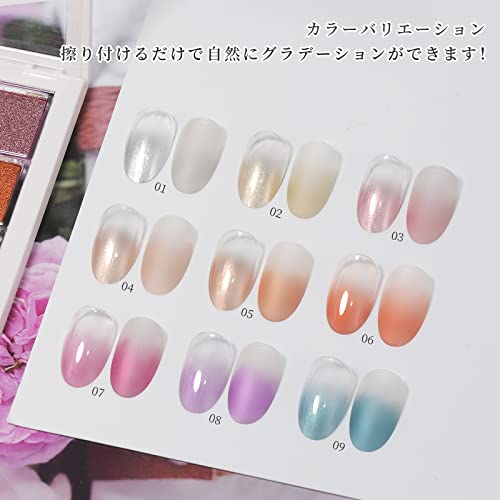 Coikaze グラデーション ネイル パウダー 9色 パレット ネイル パウダー ネイル カラーパウダー ミラーネイルパウダー メタリックネイル ネイルアート DIYネイル ネイル用品 ジェルネイル グラデーションカラー 4本スポンジチップ付き（Fパレット）の詳細・まとめ 画像