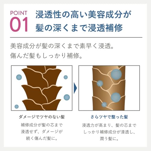 plus eau (プリュスオー) ハイドロミストN 200ml 新パッケージ HYDRO MIST 髪のブースター導入液 | スタイリング ヘアウォーター ヘアミストの特徴・詳細 画像