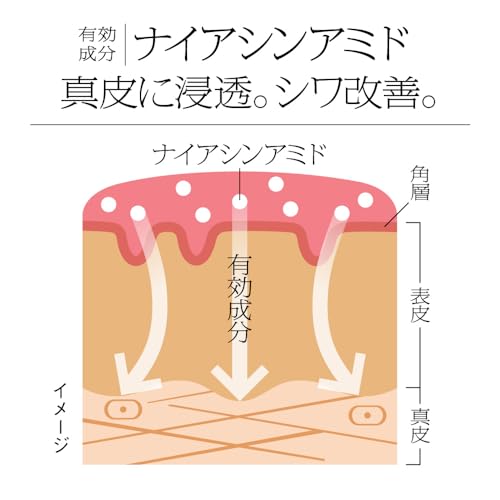 ソフィーナiP(アイピー) ソフィーナ iP 薬用シワ改善 泡セラム レフィル 90Gの特徴・詳細 画像