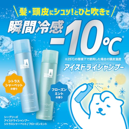 シーブリーズ アイスドライシャンプー シトラスシャーベット ×2 お試しパウチ付き 冷感 暑さ対策 べたつき予防 爽快の詳細・まとめ 画像