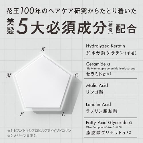 【THE ANSWER】 ジアンサー スーパーラメラシャンプー ポンプ 400ml ベルガモット＆ダフネの香り 美髪5大必須成分配合 髪質改善 くせ毛 ノンシリコーン処方 花王の特徴・詳細 画像