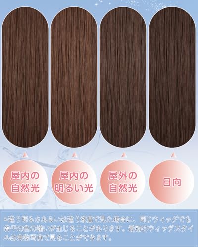 Sofeiyan ウィッグ ボブ ショート ストレート ウィッグ 普段使い フルウィッグ かつら 自然 小顔 レディース 女性 女装 耐熱 wig ウィッグネット付 (チョコレート・ブラウン)の特徴・詳細 画像