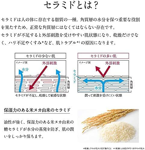 【原液】大容量 セラミド200 100ml 原液 原液美容液 TUNEMAKERS(チューンメーカーズ)の特徴・詳細 画像