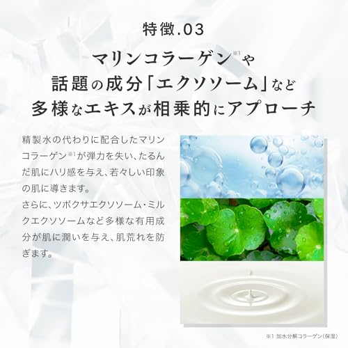 【公式】V3 brilliant foundation V3 ブリリアント ファンデーション SPICARE スピケア 15g SPF40 PA++ イノスピキュール サロン専売品の特徴・詳細 画像