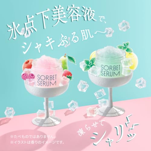 ソルベセラム 美容液 S ソルベセラム (フレッシュクリア) 65g+オリジナル保管袋 うるおい毛穴ケア シトラスミント系のすっきりとした香り SORBETSERUMの詳細・まとめ 画像