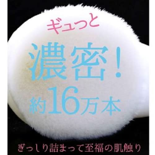 リヨンプラニング NYF-800 洗顔ブラシの詳細・まとめ 画像