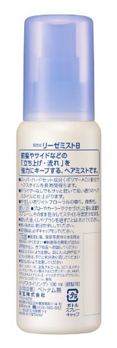 リーゼ ポイント用ミスト 100mlの詳細・まとめ 画像