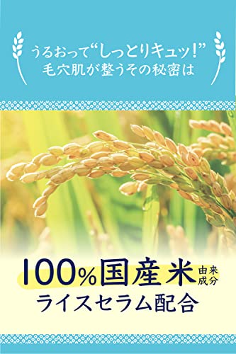 毛穴撫子 毛穴パック お米のパック 乾燥肌 100％国産米由来成分 洗い流すパック 米 パック うるおい 170gの特徴・詳細 画像